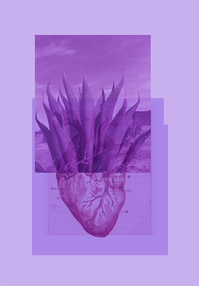 cora-Maguey2-LOW.png