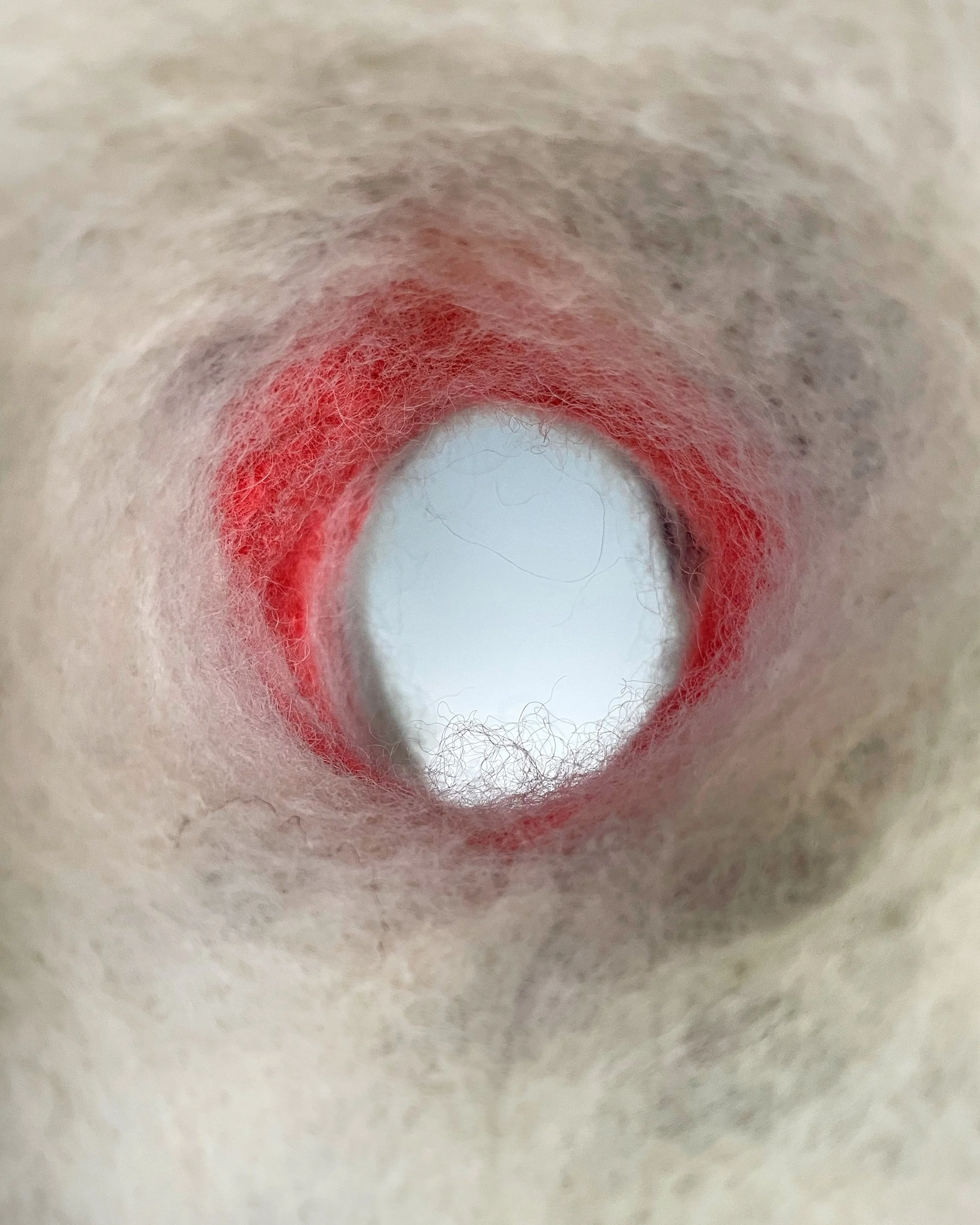Inner Life (detail); 2024; felted wool, upholstery foam   
16" x 6" x 9"