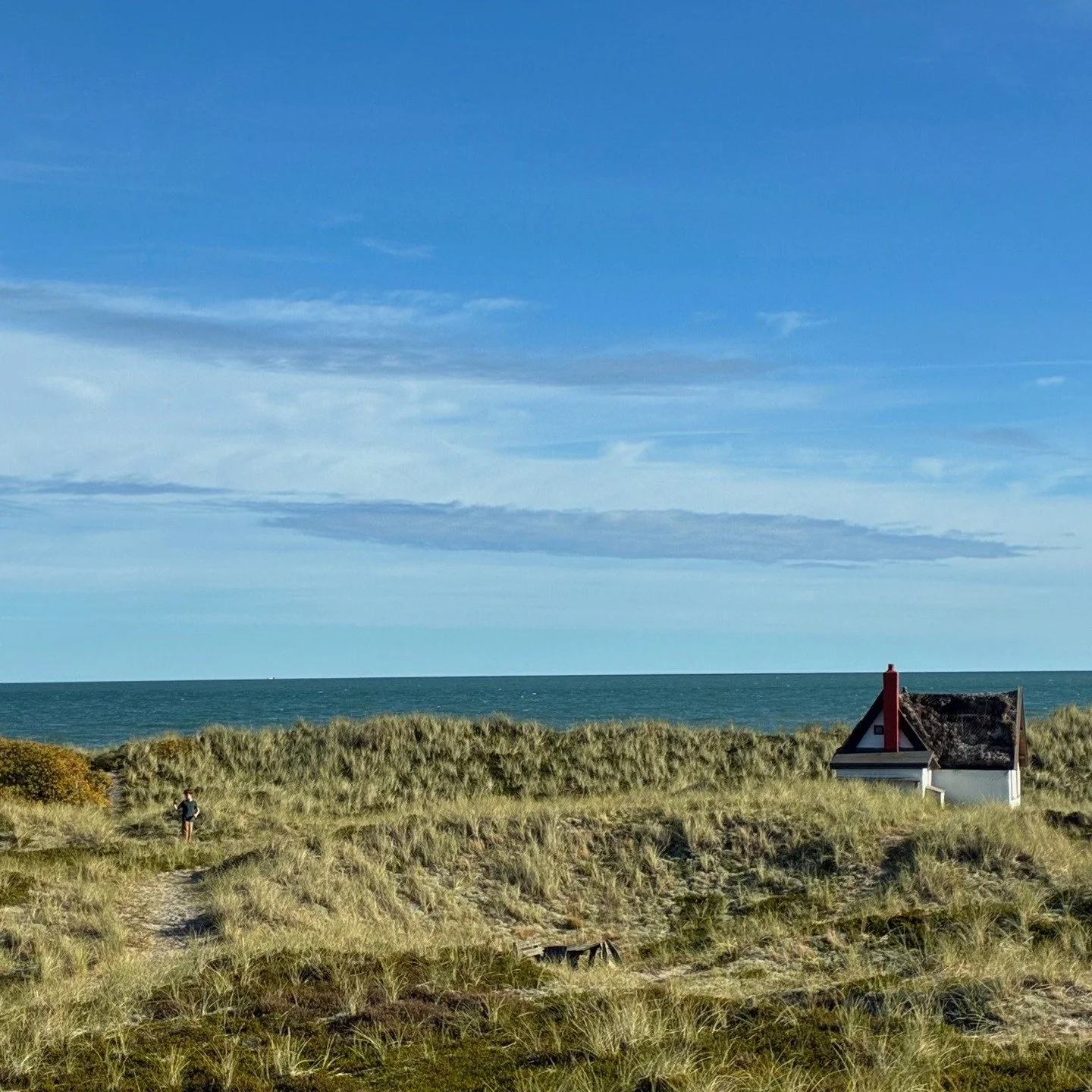 Denmark consists of 444 islands, so the sea is never very far away. Proximity to "blue spaces" like the ocean is known to foster well-being, and we'd go so far as to say joy, or "lykke" in Danish. Take in the views from the hidden