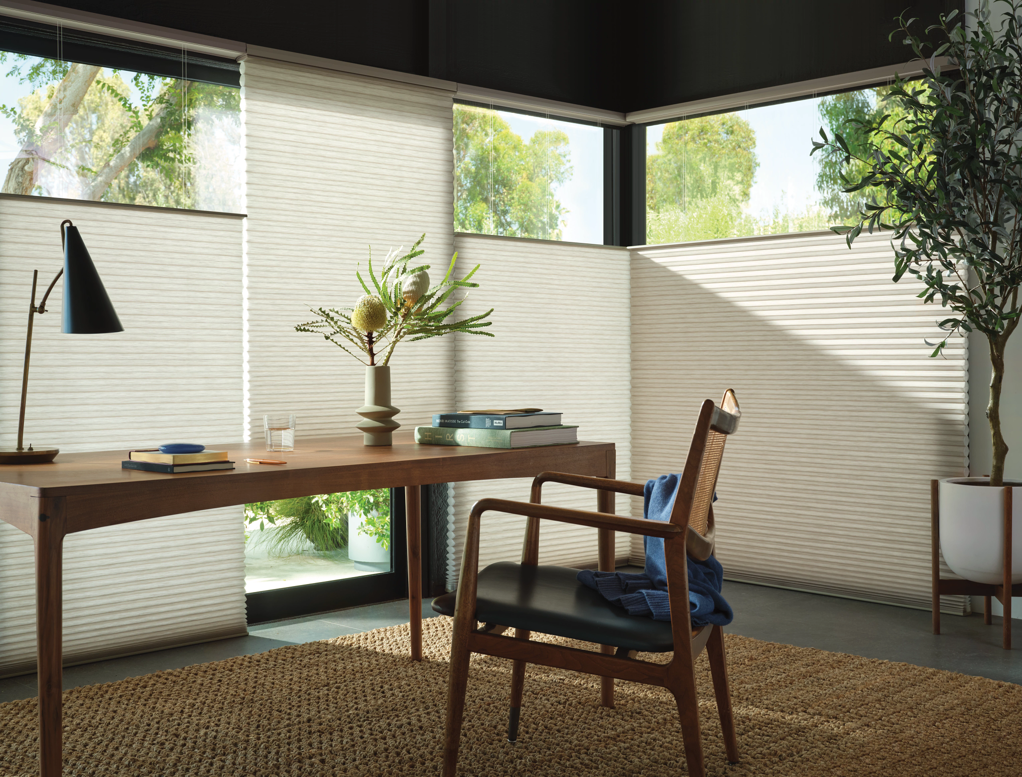 Hunter Douglas