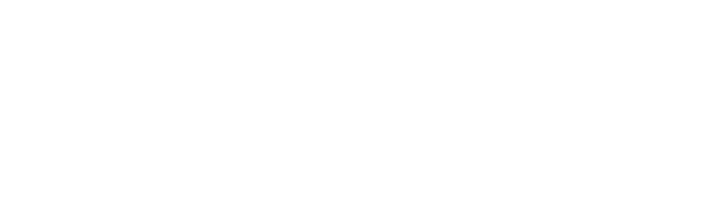 Wuzidoo Workshop