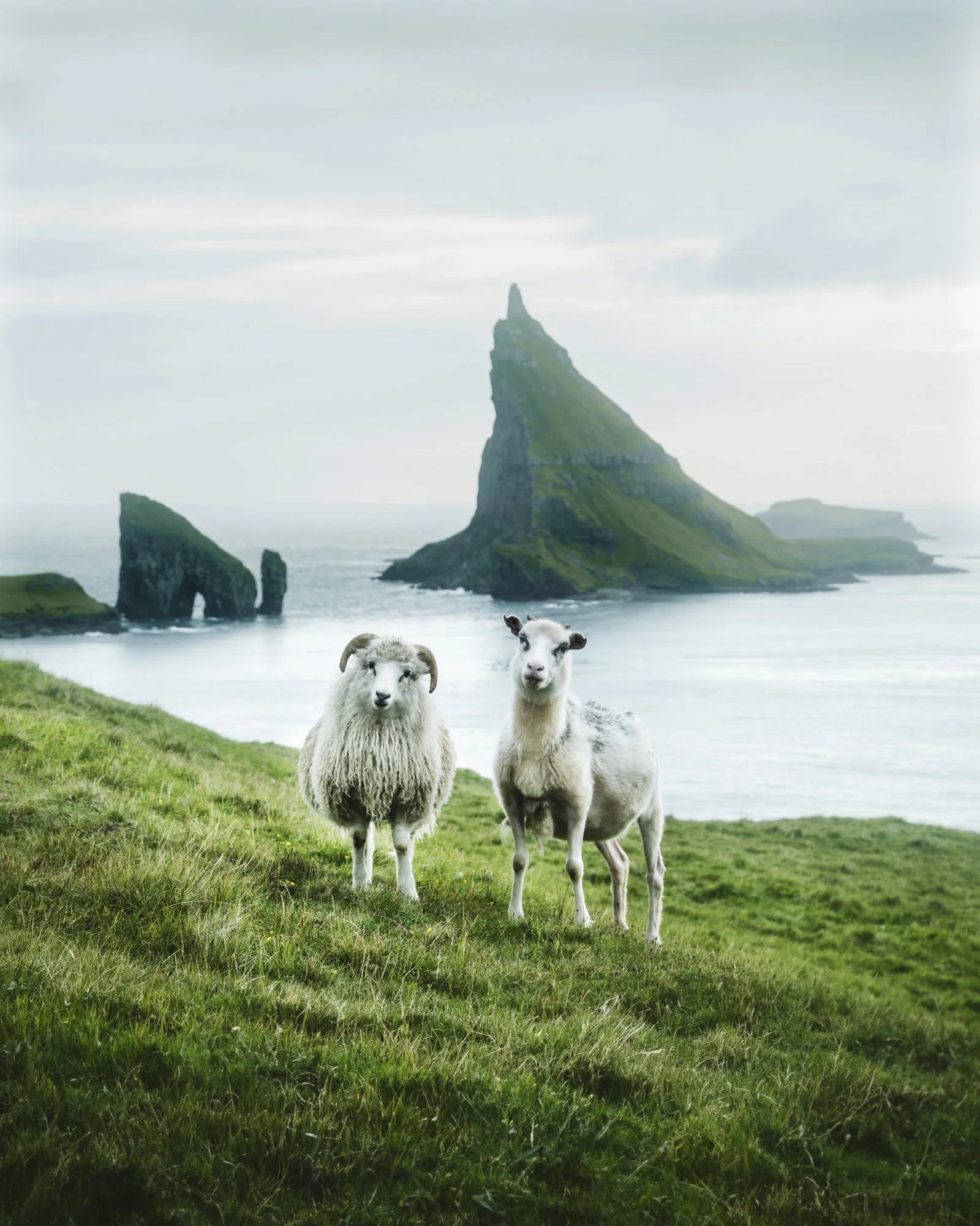 Faroe007_4x5_GF_crop.JPG