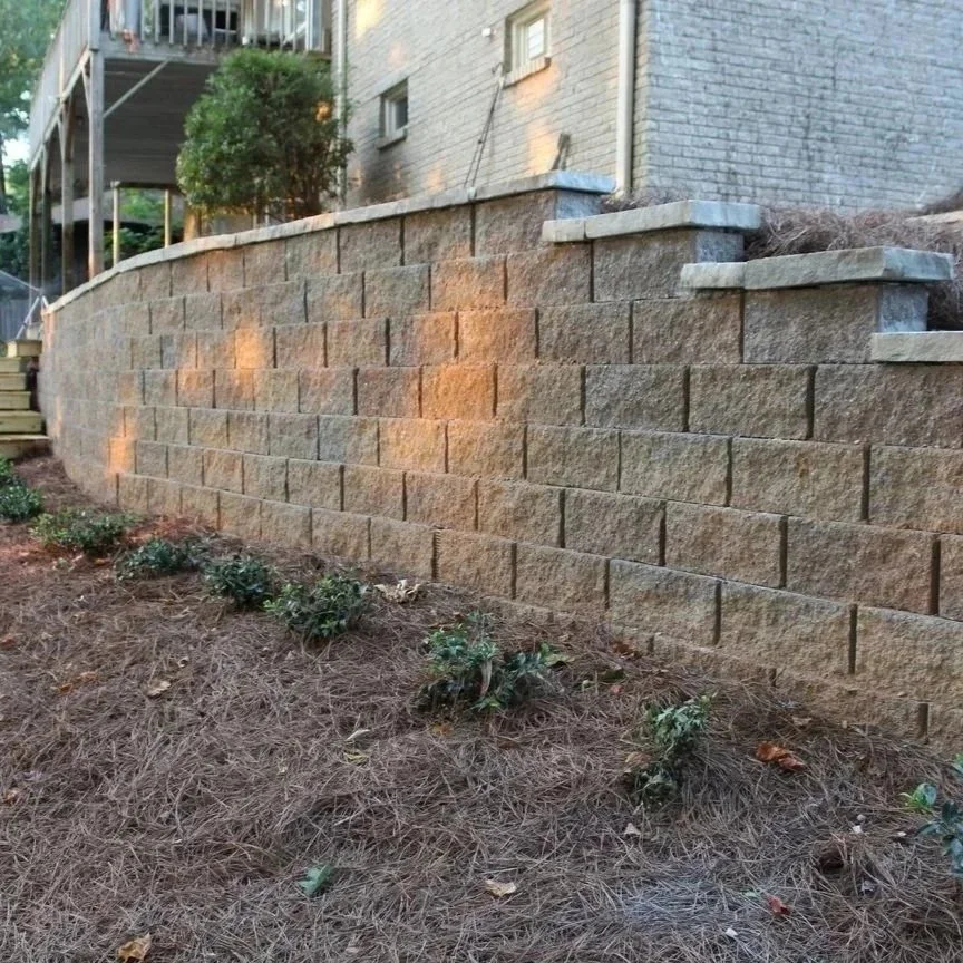 Native Florida plants like Coontie and Coreopsis stabilize a Gainesville stone retaining wall, preventing erosion and supporting local pollinators.