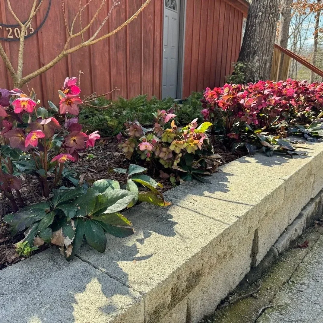 Natural stone retaining wall with integrated lighting and built-in seating, stabilizing a sloped Gainesville yard overlooking Lake Lanier's scenic shoreline.