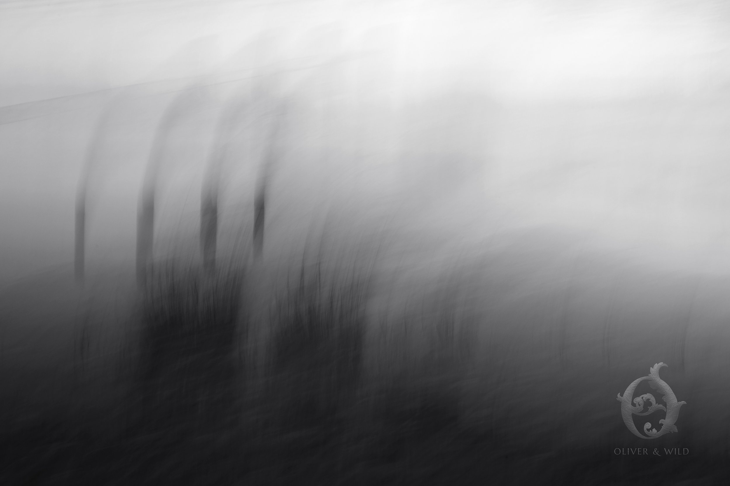 DSC_8564.jpg