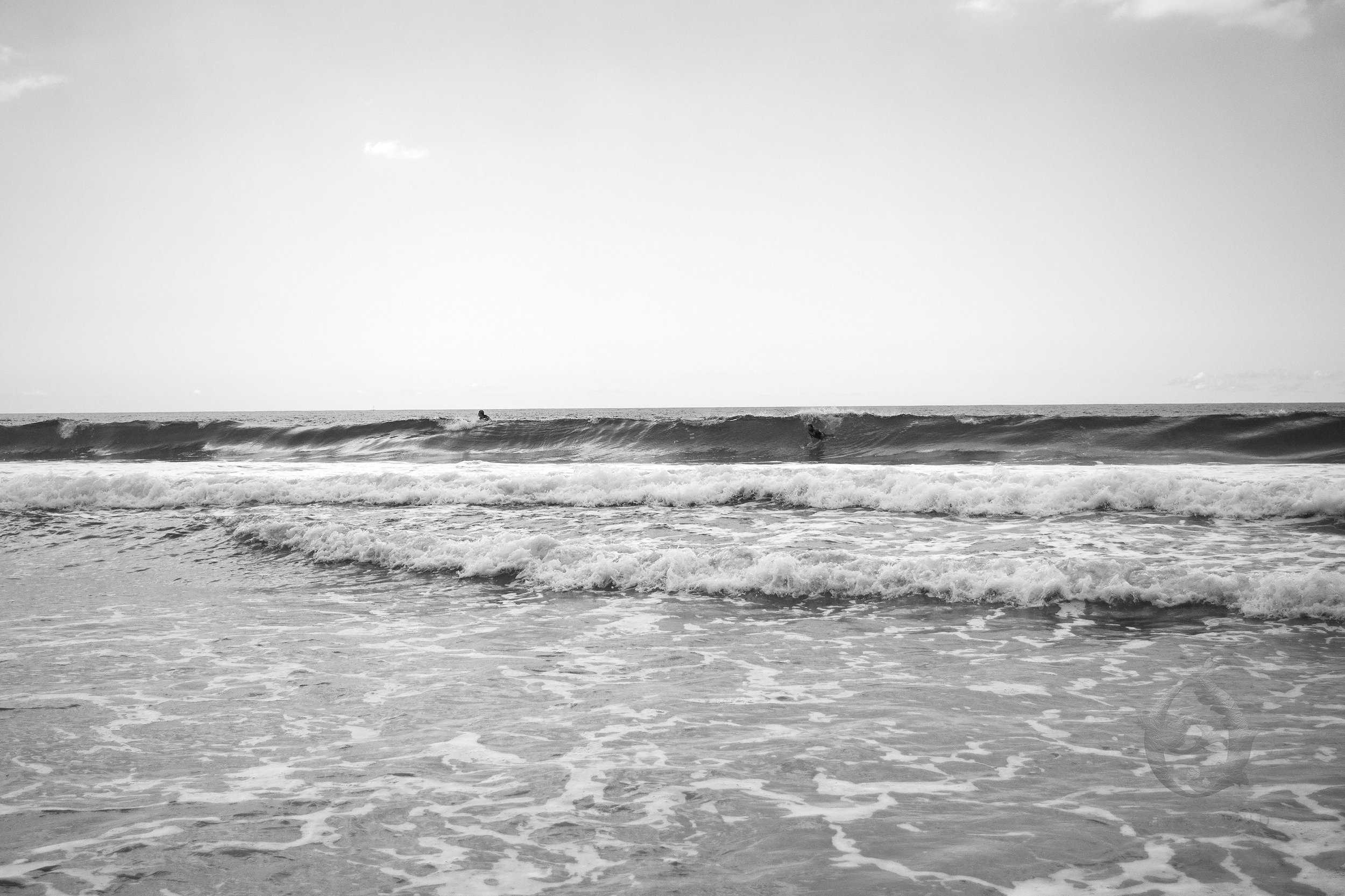 DSC_0209.jpg