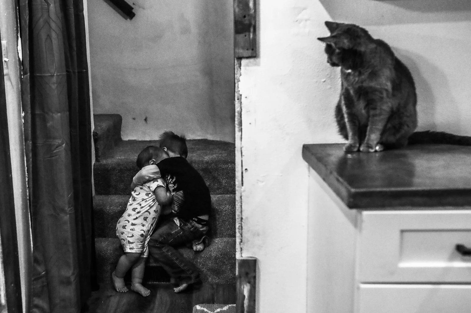 Two children hugging on carpeted stairs indoors, with a cat sitting on a cabinet to the right.