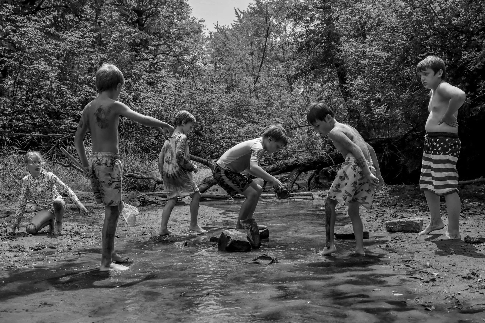 Seven children playing in a creek surrounded by trees, some wading and others observing.