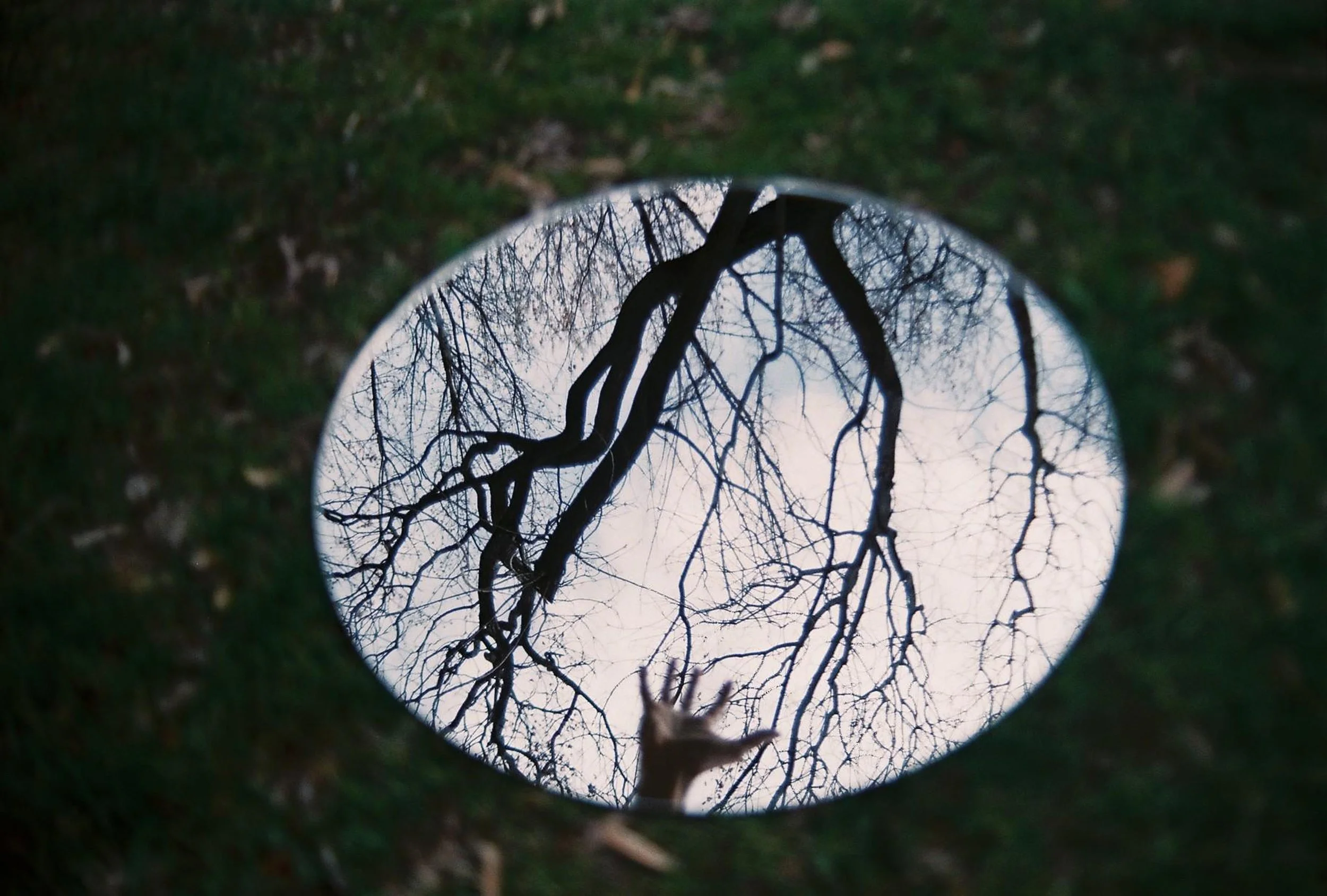 Magical Realism: Your Favorite Genre Has a Name