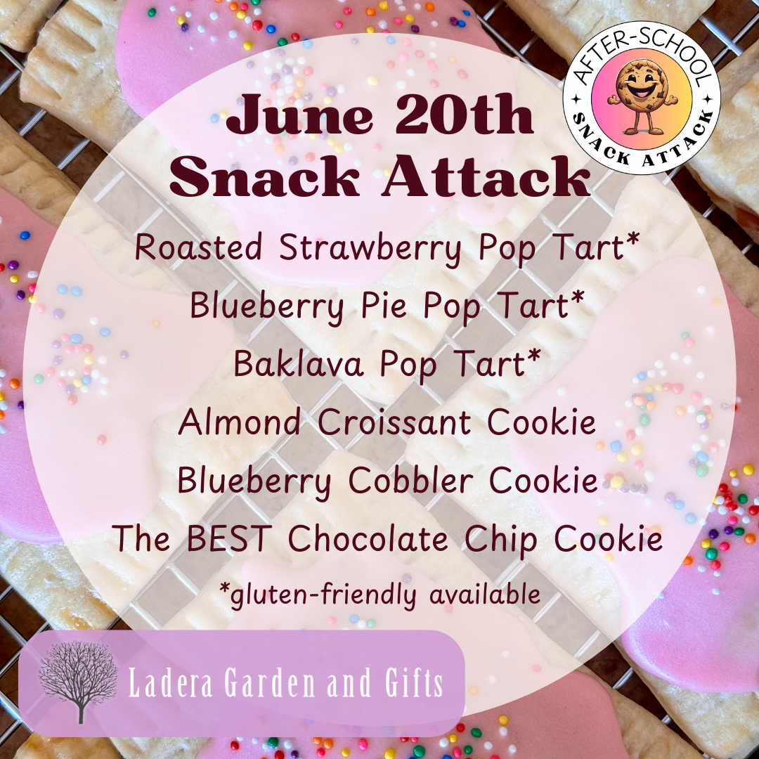 Snack Attack + Ladera Garden & Gifts