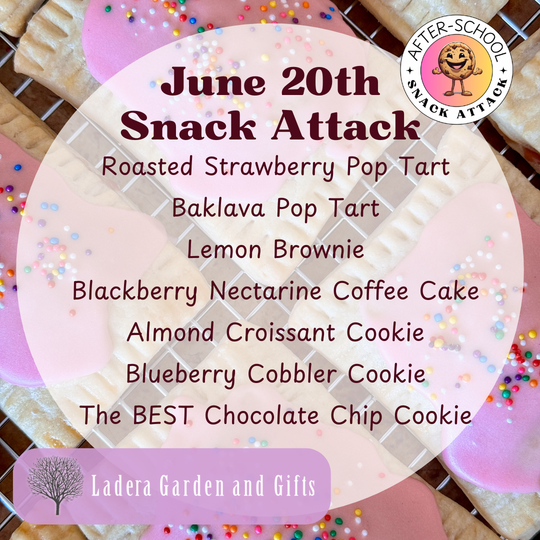 Snack Attack + Ladera Garden & Gifts