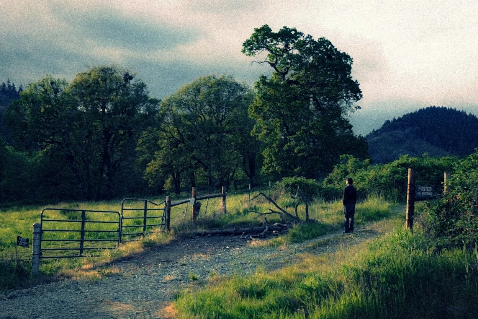 Jackson Toone Photography-119.jpg