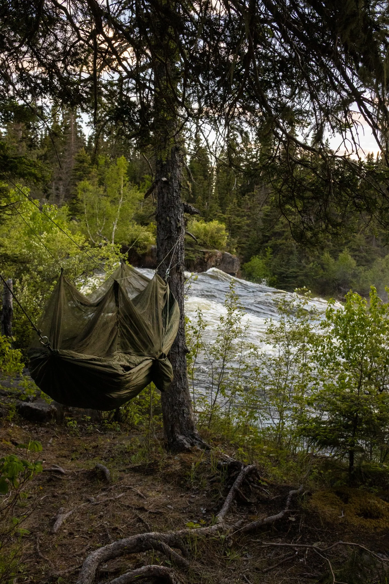 Jackson Toone PhotoG-1.jpg