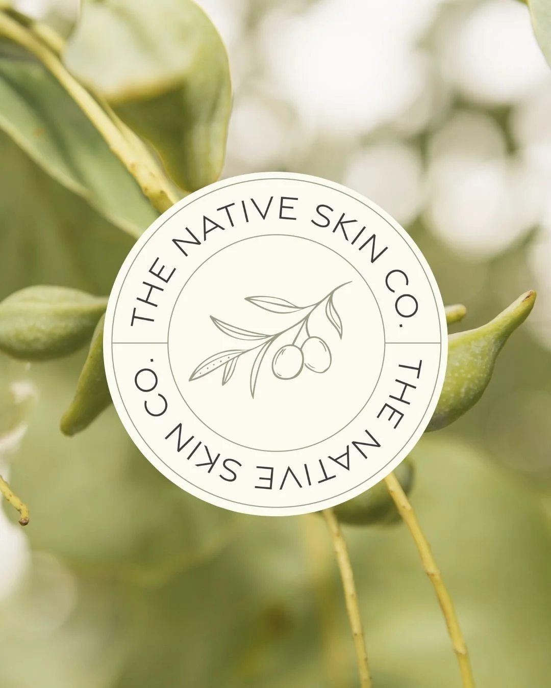 The Native Skin Co. (Click to view project)