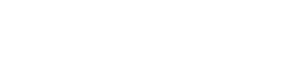 Delex Digital