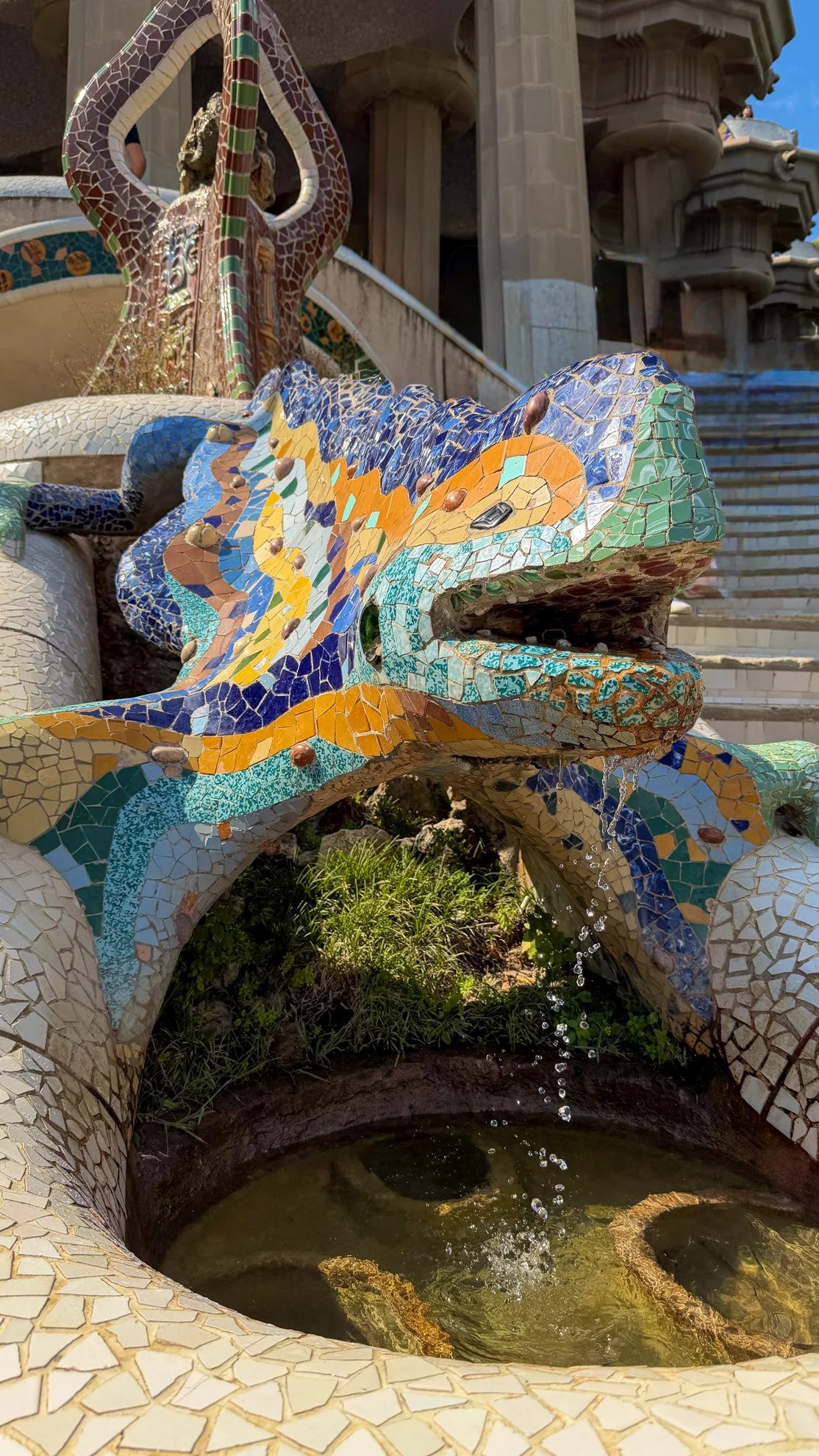 Lizard at Parque Güell.
