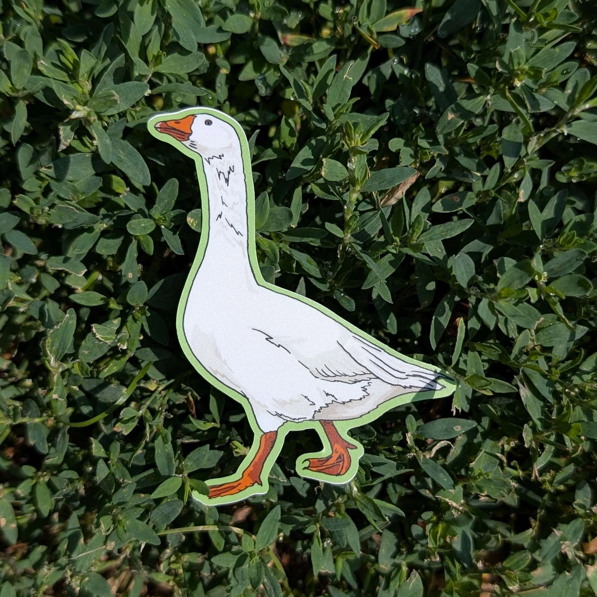 domestic goose sticker.jpg