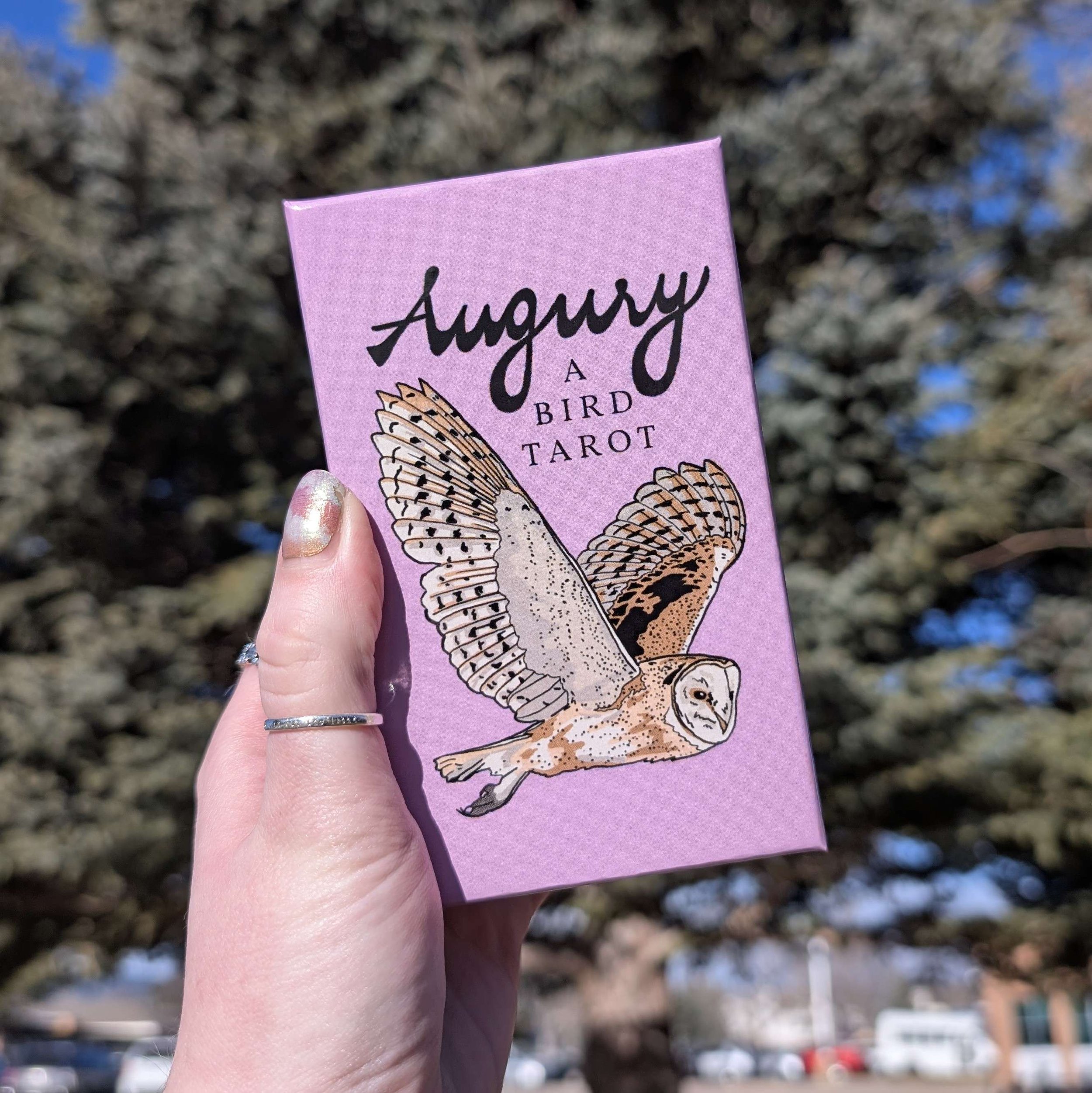 Augury: A Bird Tarot