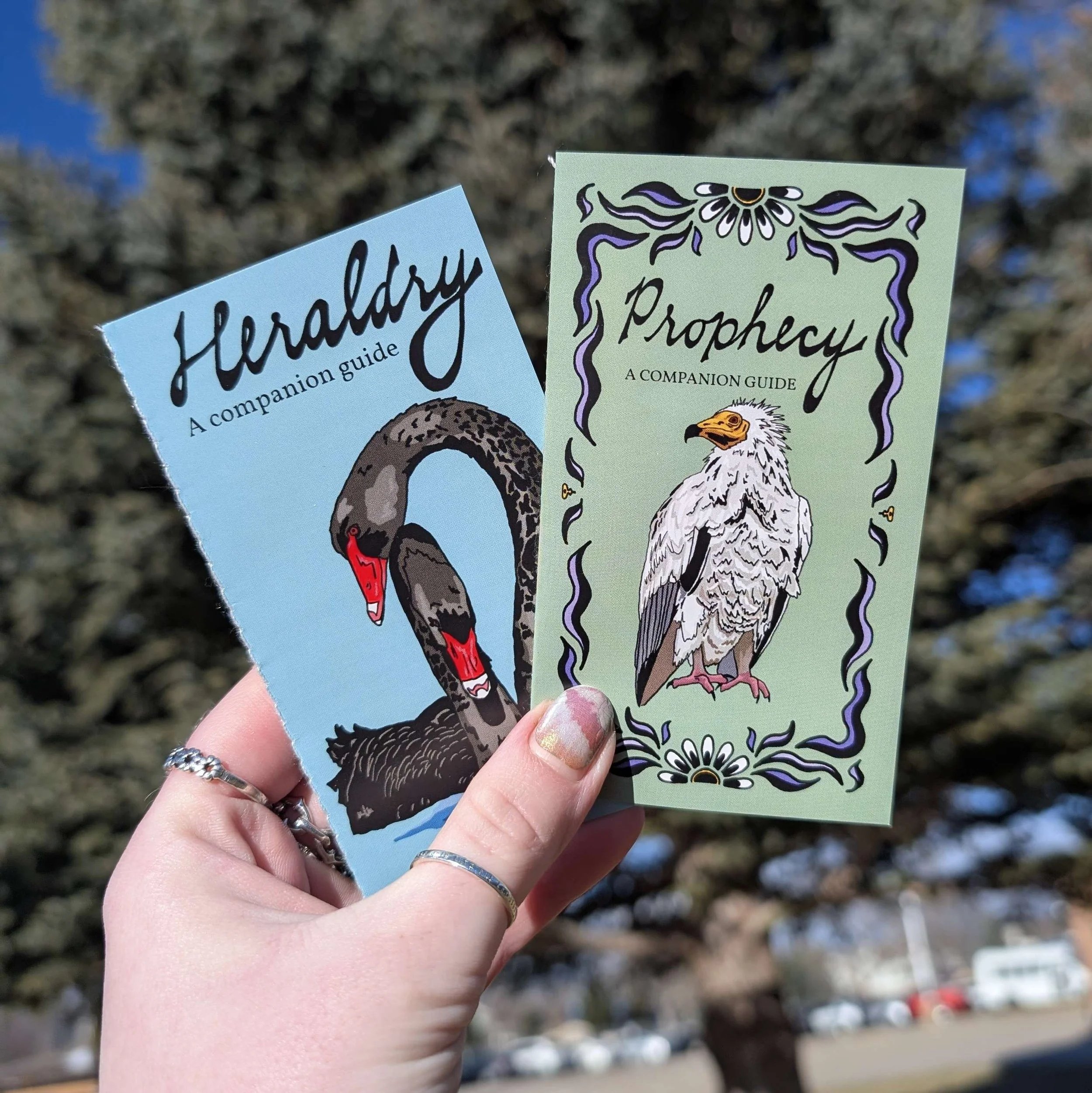 companion guides final product image.jpg