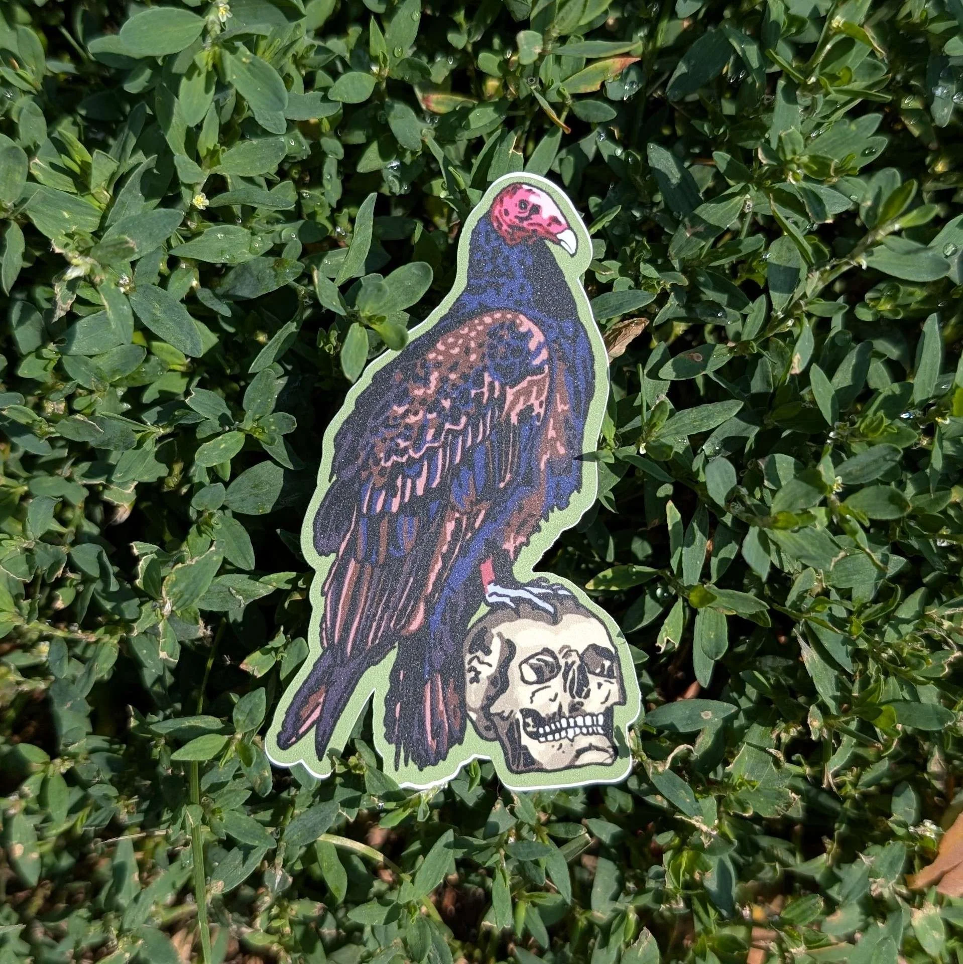 turkey vulture sticker.jpg