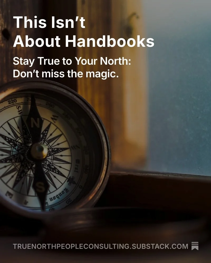 This Isn’t About Handbooks