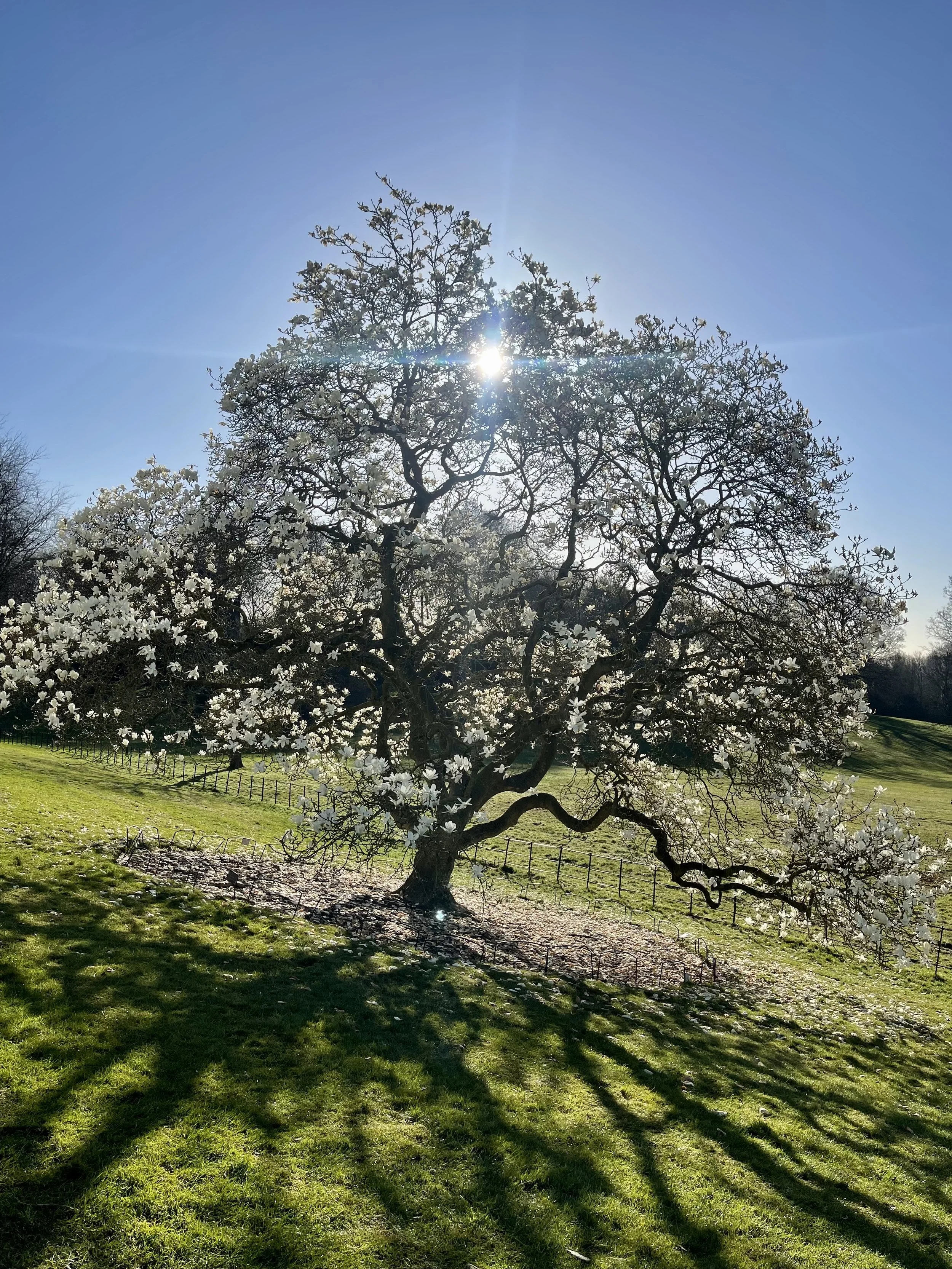 Sound Journeys –  Winter into Spring 2026