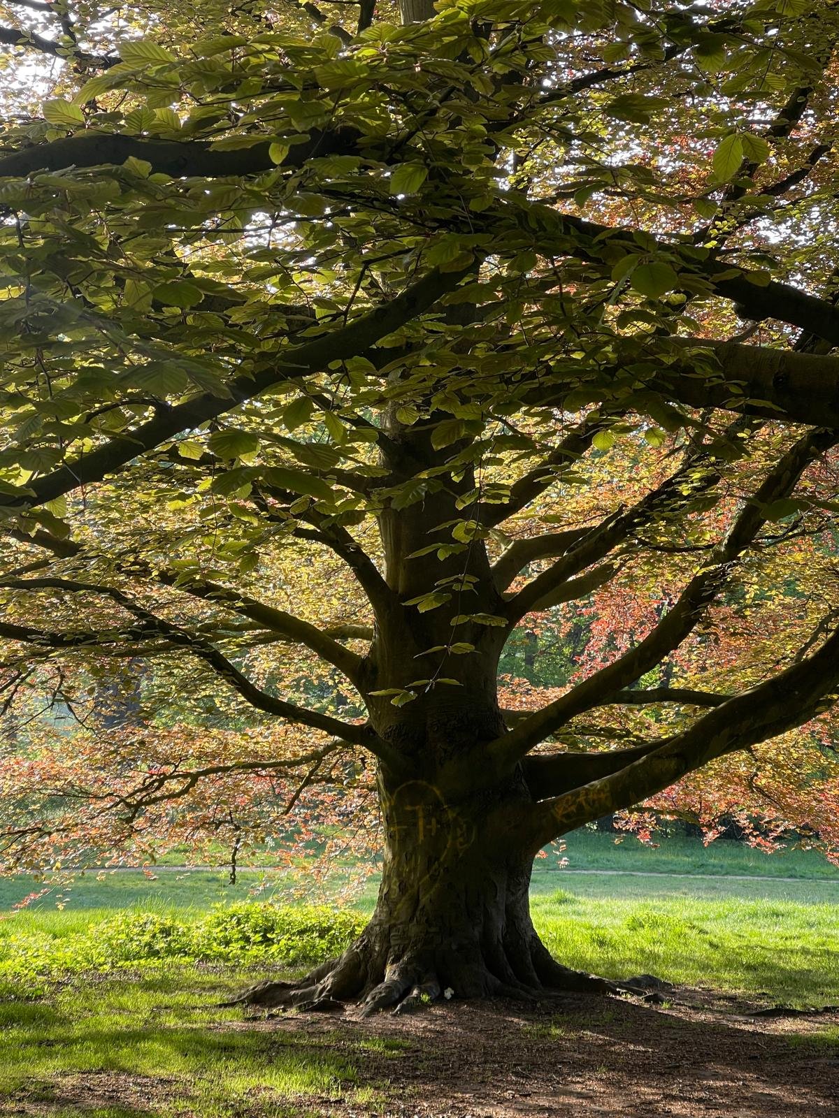 WhatsApp Image 2026-01-01 at 10.44.38 PM.jpeg