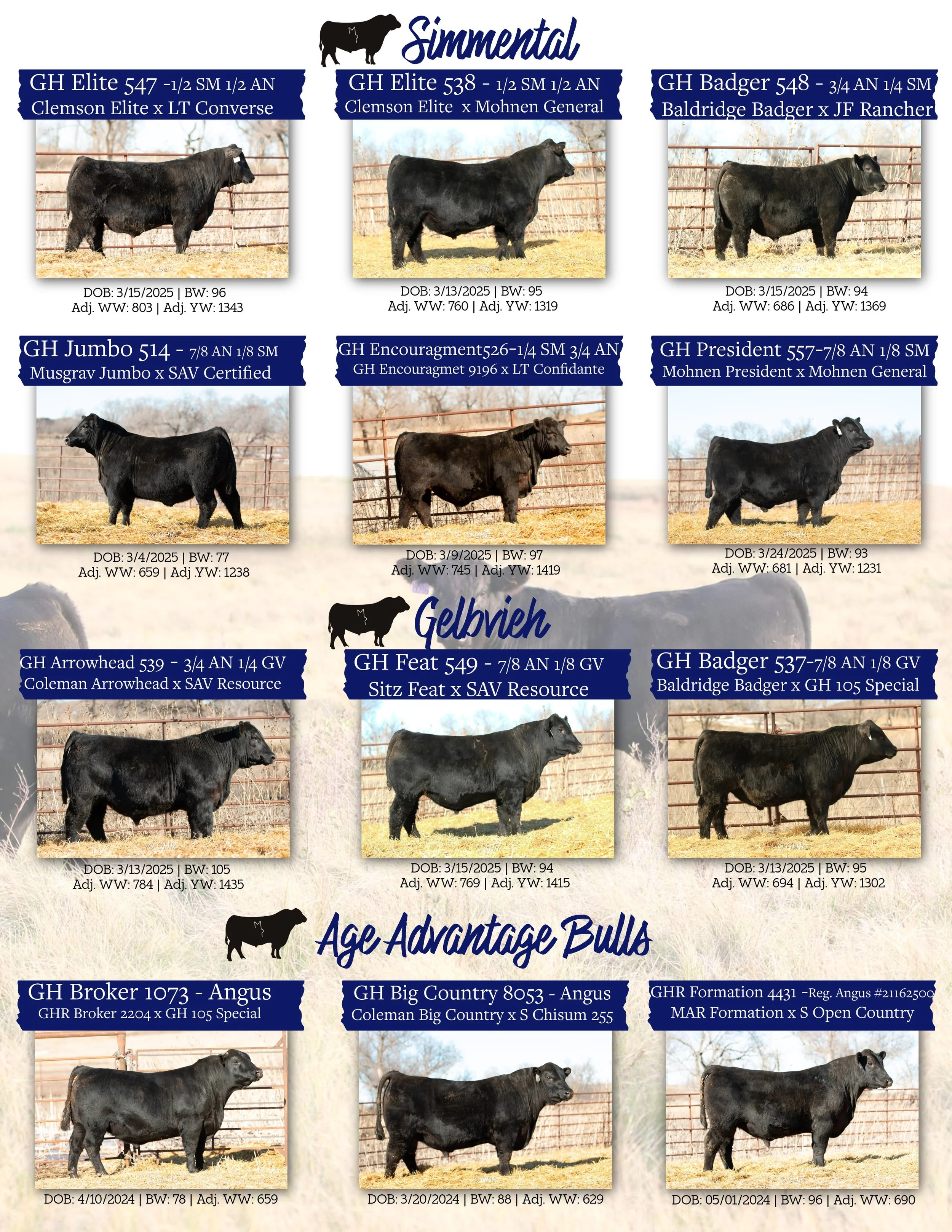 Gumbo Hill Ranch Flyer 2026 #2