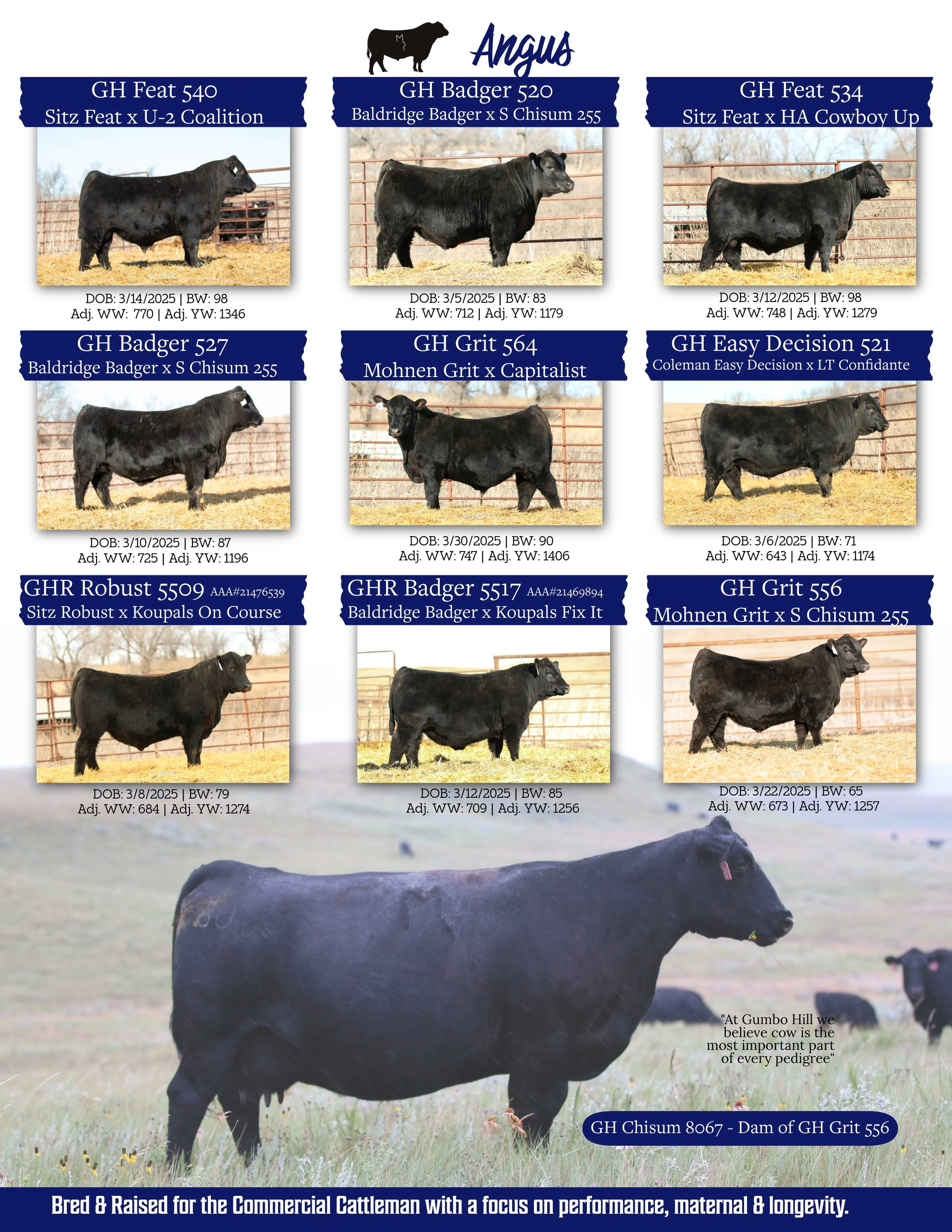 Gumbo Hill Ranch Flyer 2026