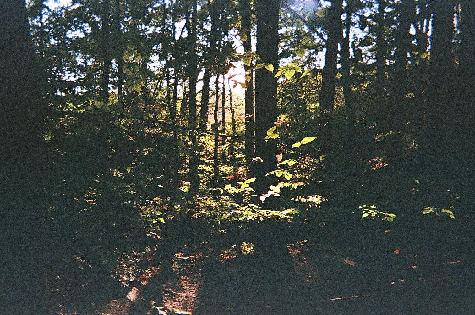 IMG_0073.JPG