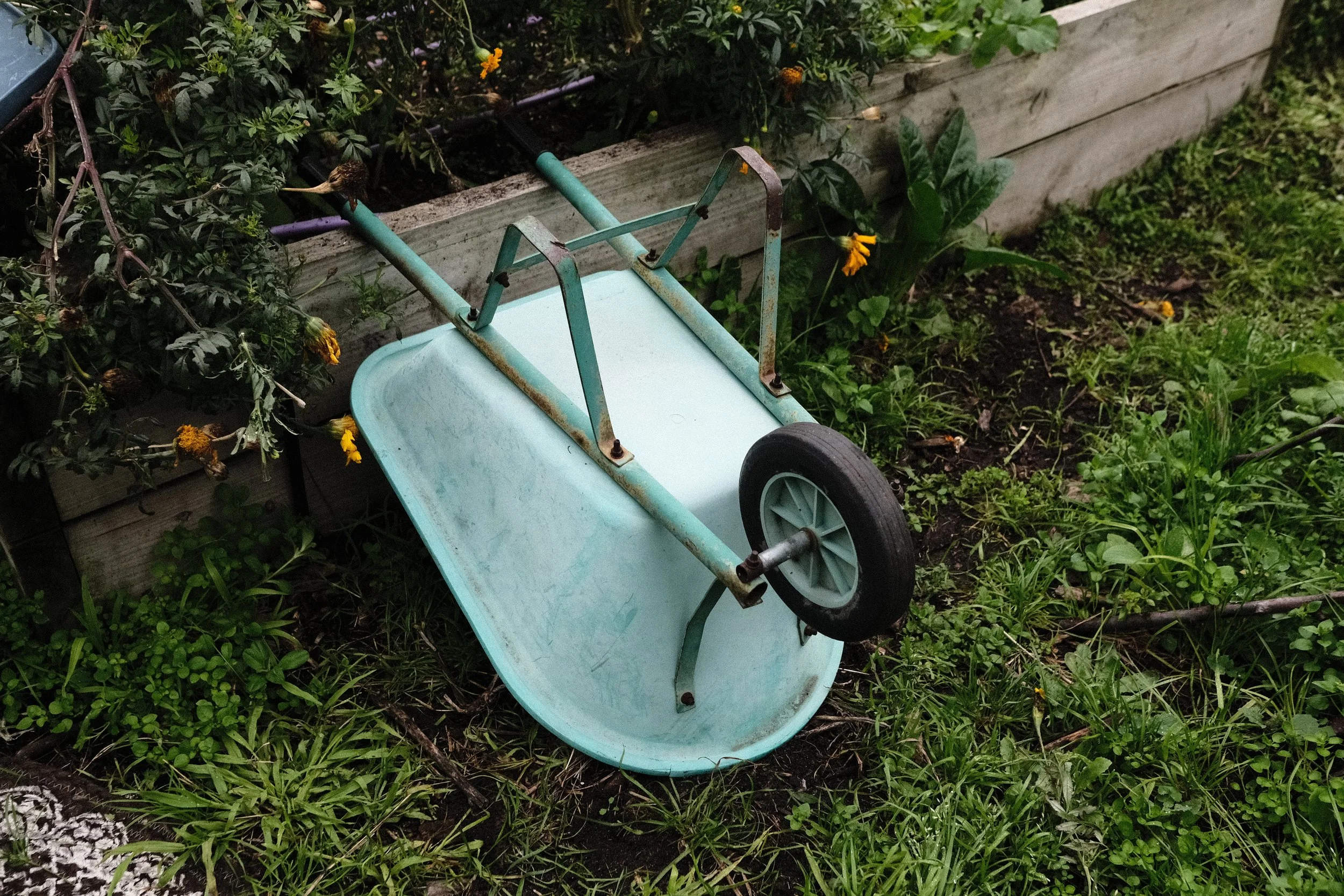 DSCF2751.JPG