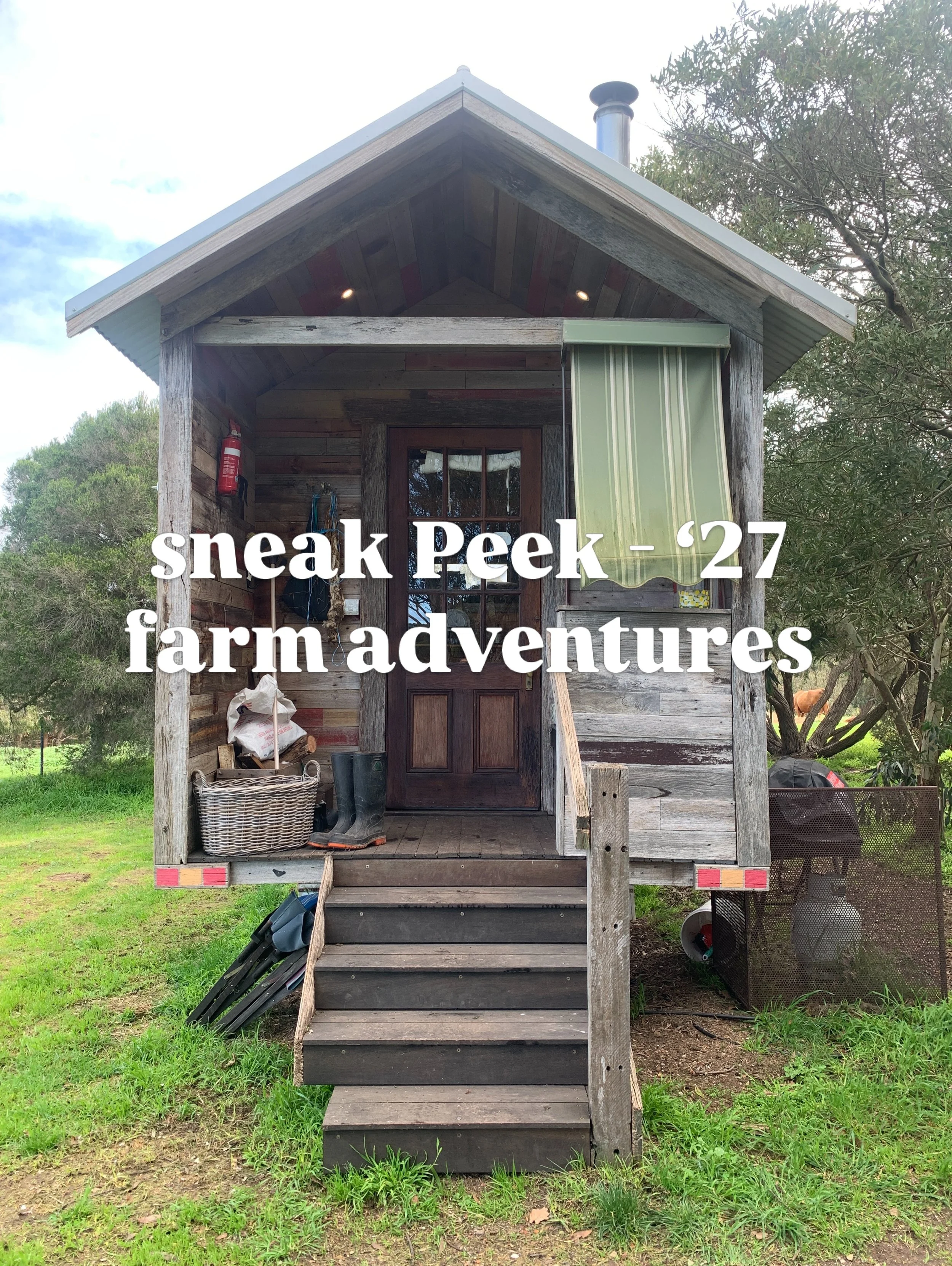 A little sneak peek into &rsquo;27 🐄🌻

A couple of days on the farm, wandering around in muddy boots, and painting some of the things that caught my eye.

The very beginnings of something new&hellip; 🐑🐓🐄

Farm adventures to be continued 🍎

#new