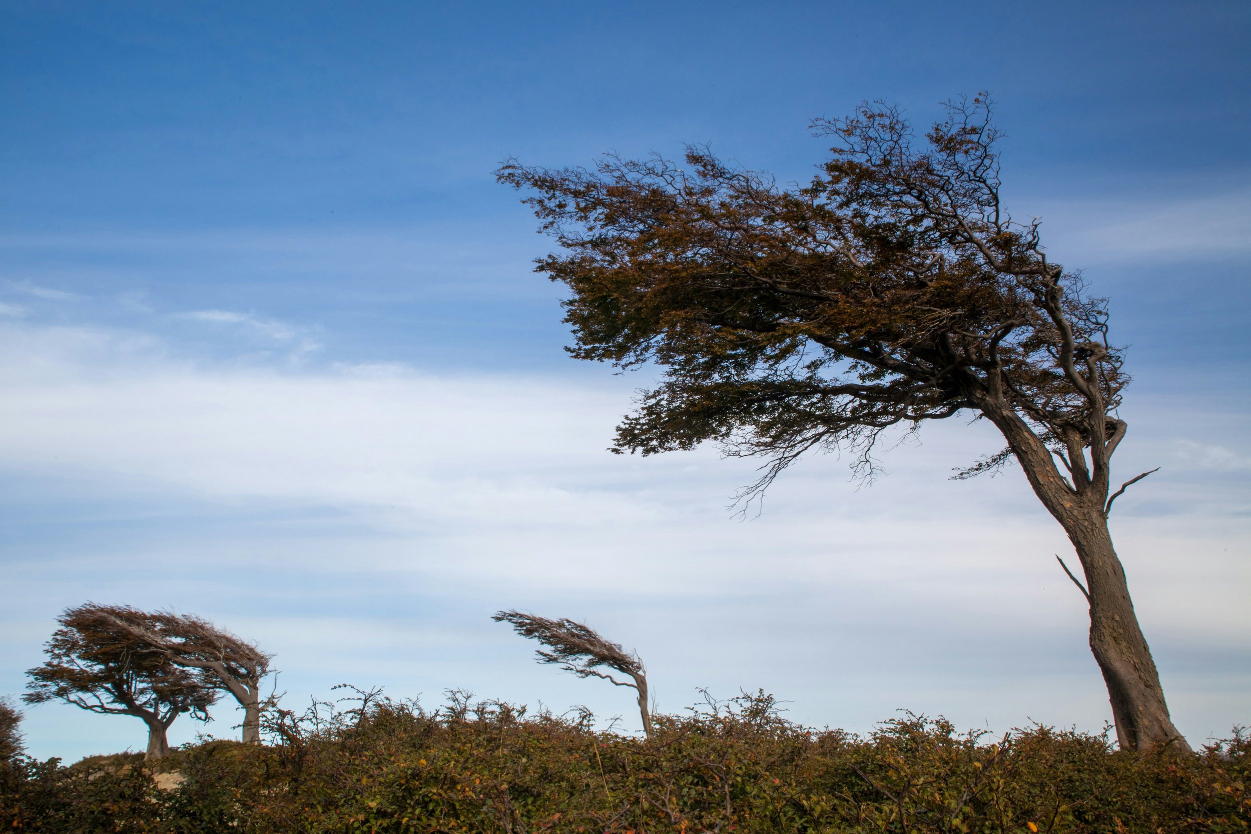 Building Entrepreneurial Resilience and Leveraging Essential Tools