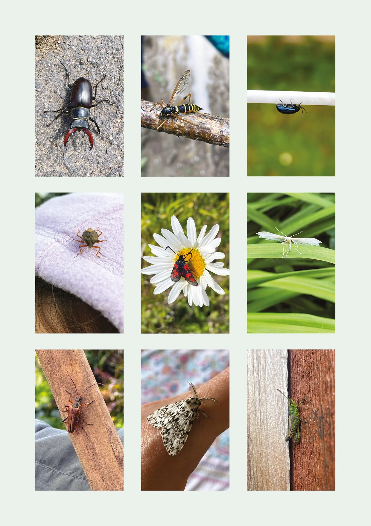 PofE_Photo essay_screen pres_final15.jpg