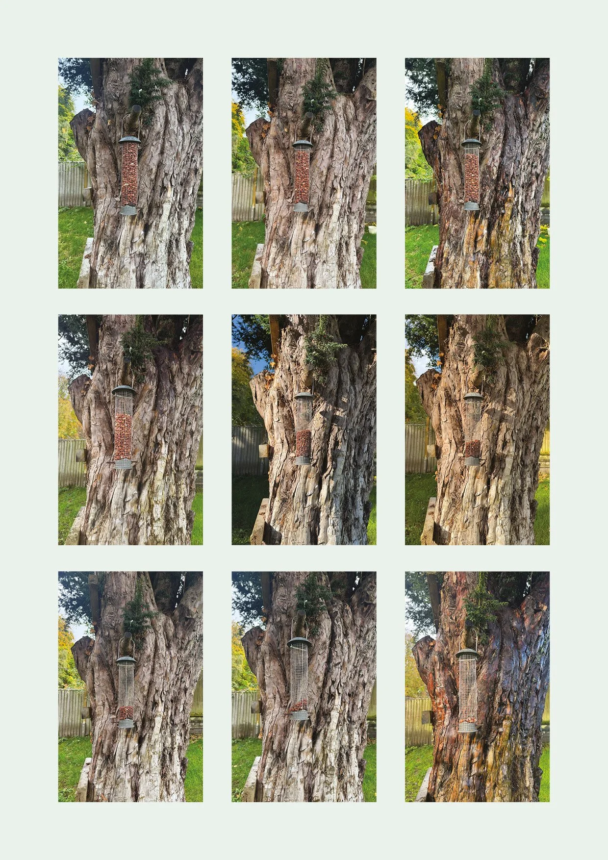 PofE_Photo essay_screen pres_final4.jpg