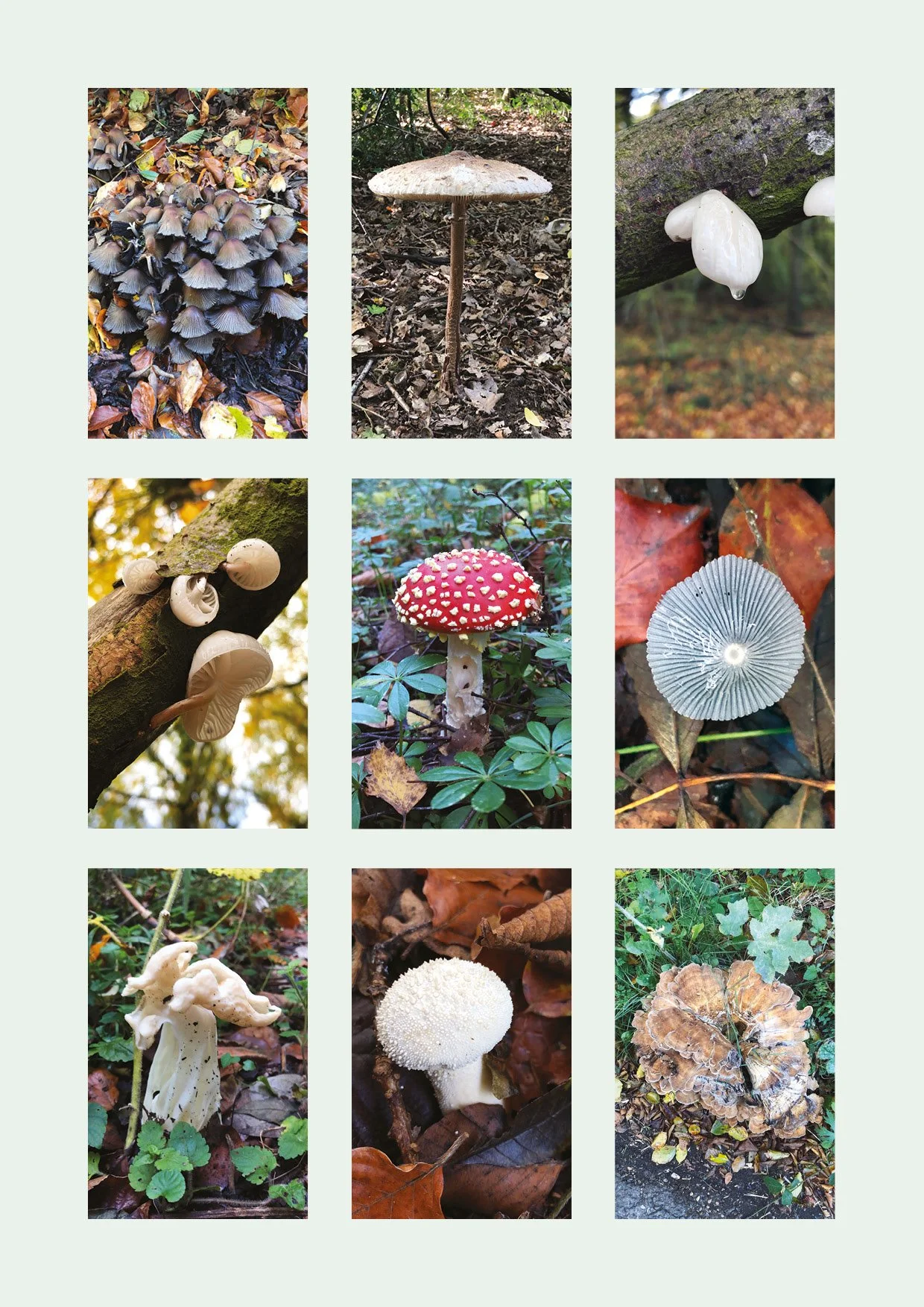 PofE_Photo essay_screen pres_final13.jpg
