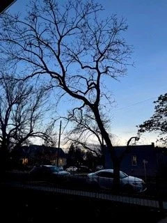 Ale M Thumbtack Small.jpeg