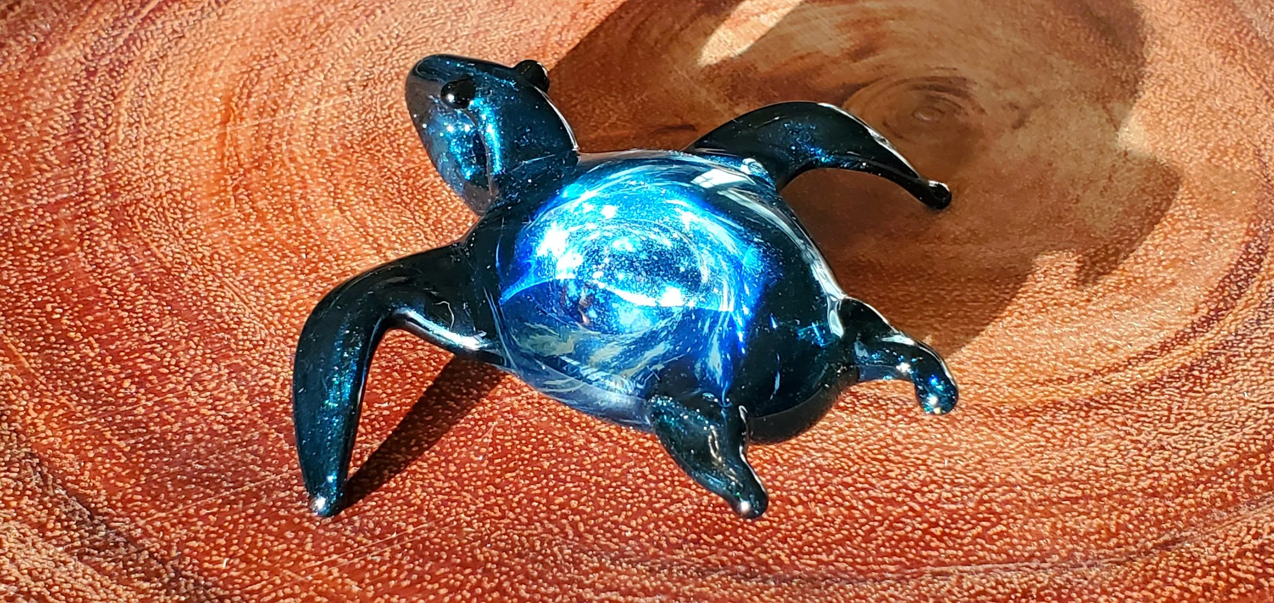 20240325_184313.jpg