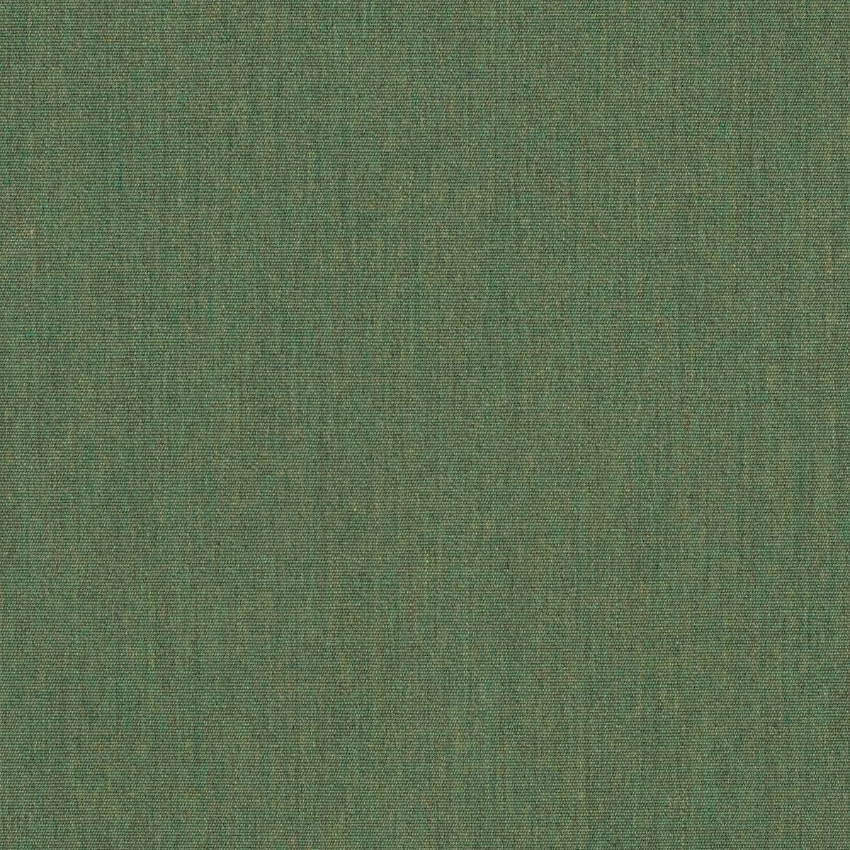 fern.jpg