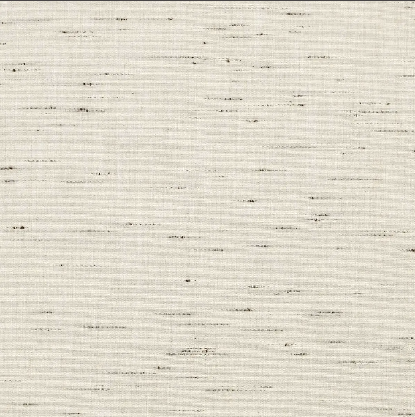 birch.png