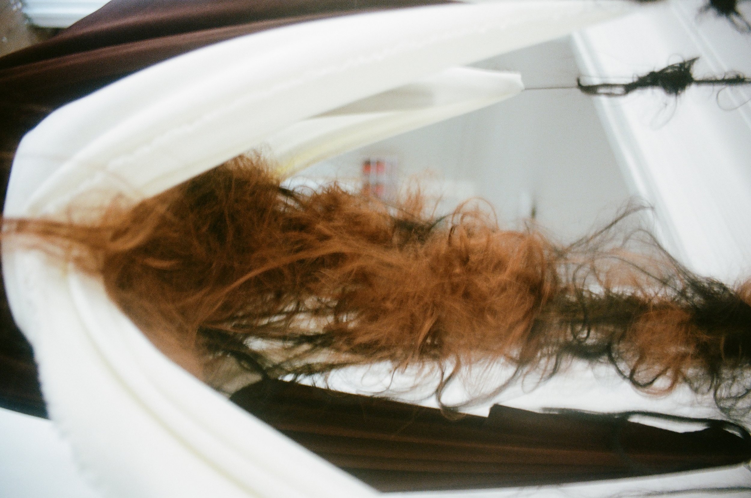 Big Hair Bod, 2020