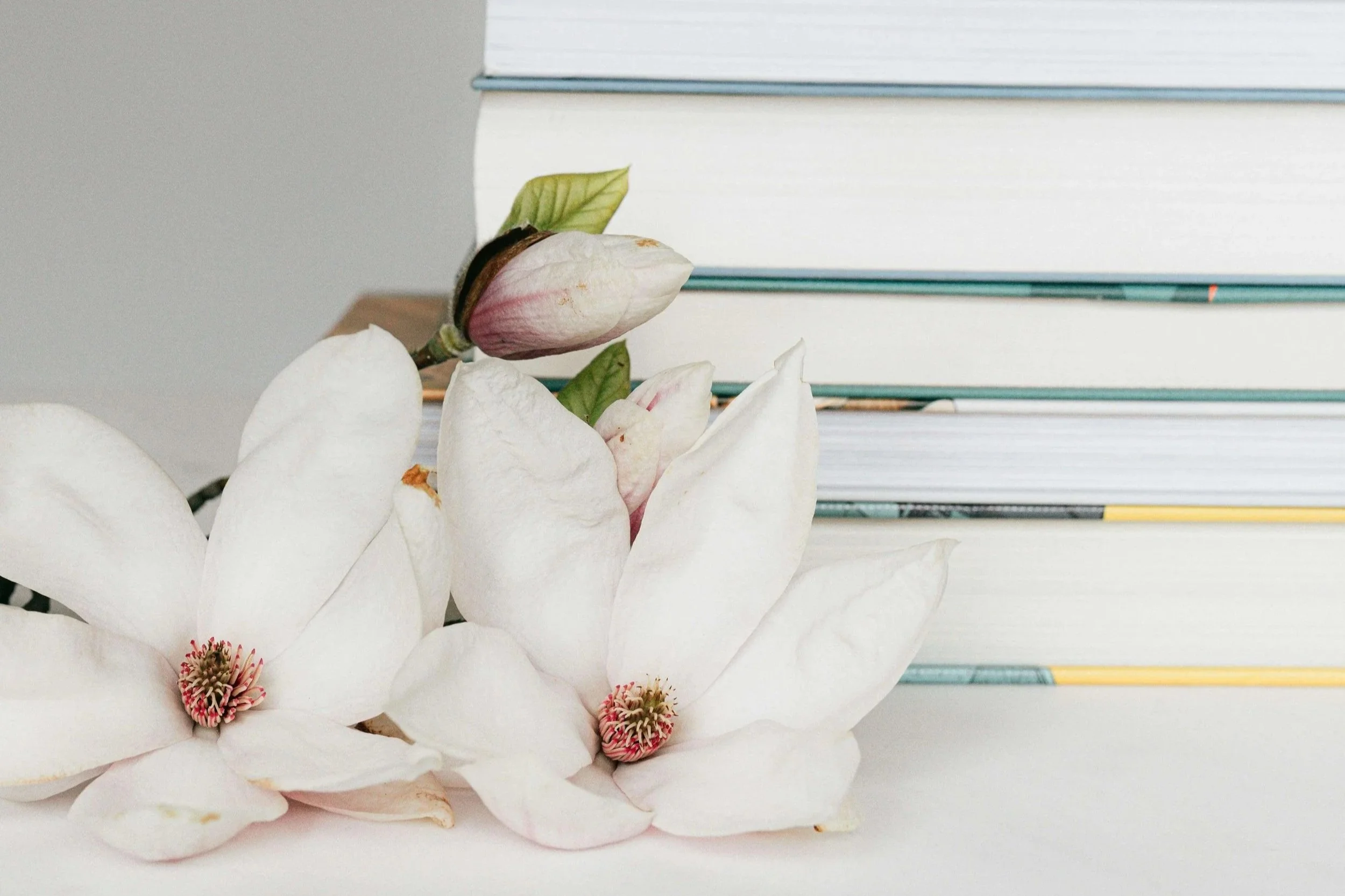 Springtime Stress: Why Academic Pressure Impacts Couples Too (And What to Do About It)