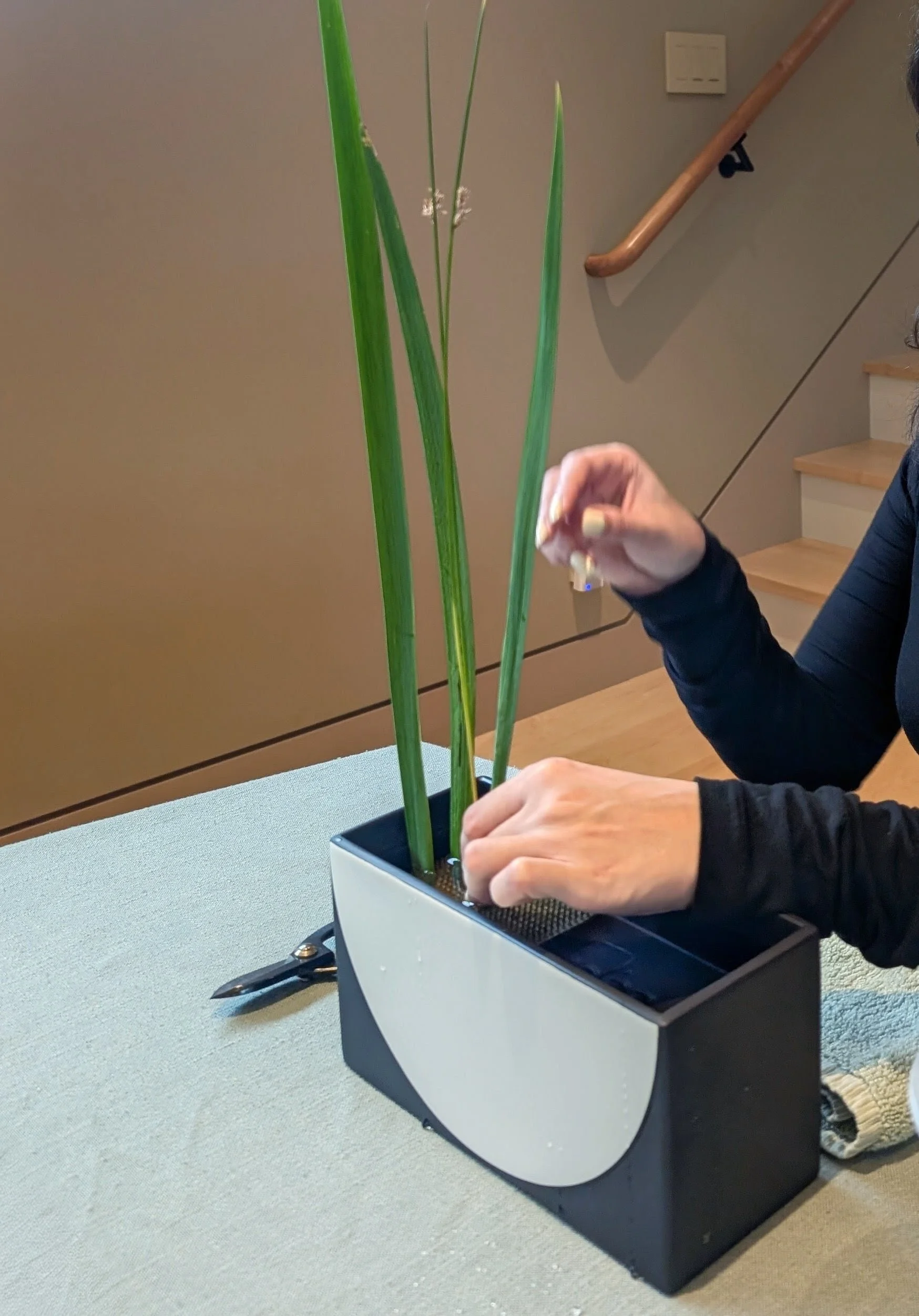 Ikebana_lesson_private_Berkeley_East_Bay_Ikenobo_harmony.jpg