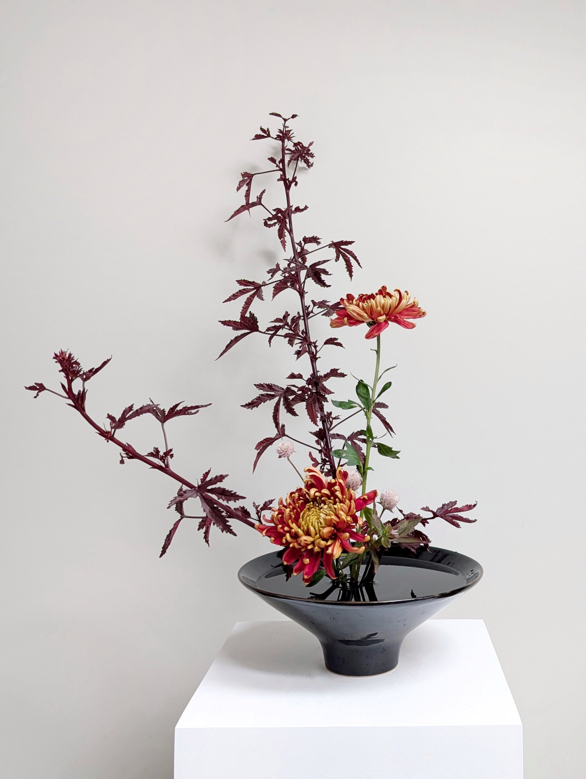 Jiyuka_Moribana_Hibiscus_chrysanthemum_orange_burgundy_fall.jpg