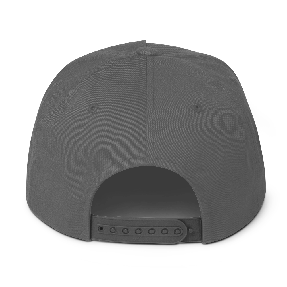 flat-bill-cap-grey-back-68a73d0631980.png