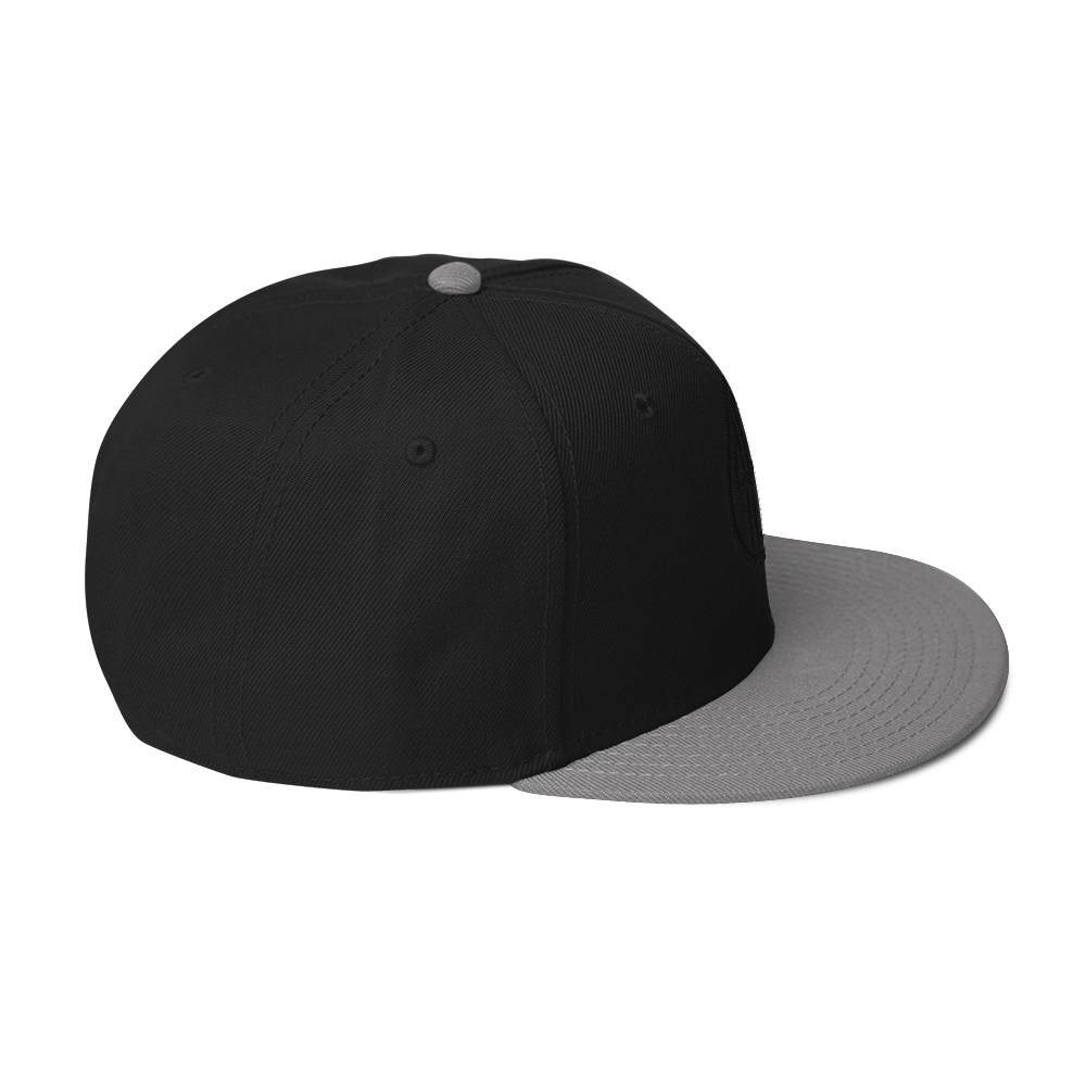 snapback-gray-black-black-right-side-68a7552b3f469.png