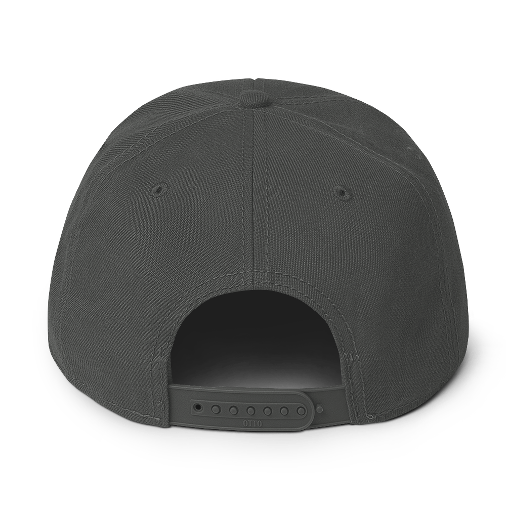 snapback-charcoal-gray-back-68a7552b4a63a.png