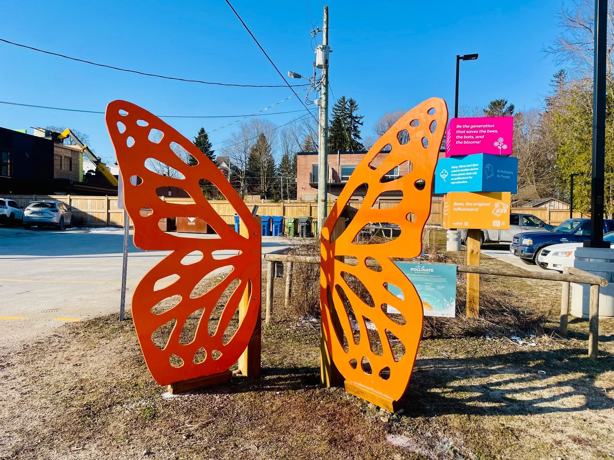 🌸 Our photo-ready wings are back for another season at the Arthur Street Gardens!
Snap a selfie as you explore the gardens, read our pollinator signs, and see if you can spot any native plants beginning to emerge. 🐝🌱
Be sure to tag us in your phot