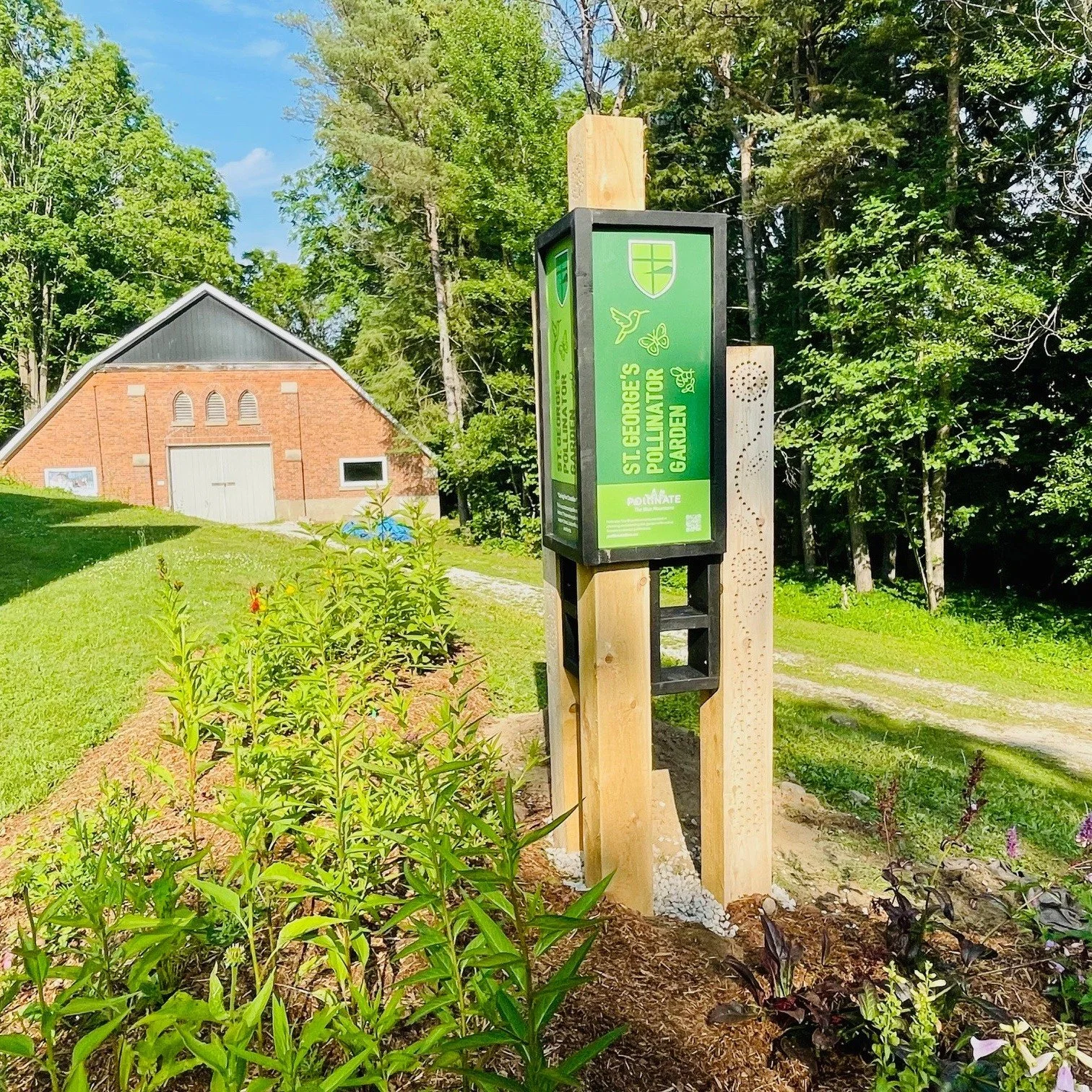 Yesterday, PTBM held our annual spring meeting to kick off the growing season and start planning for an exciting Spring/Summer 2026! We talked about expanding our gardens, hosting more pop-ups, and ur search for passionate volunteers to join us.
If y