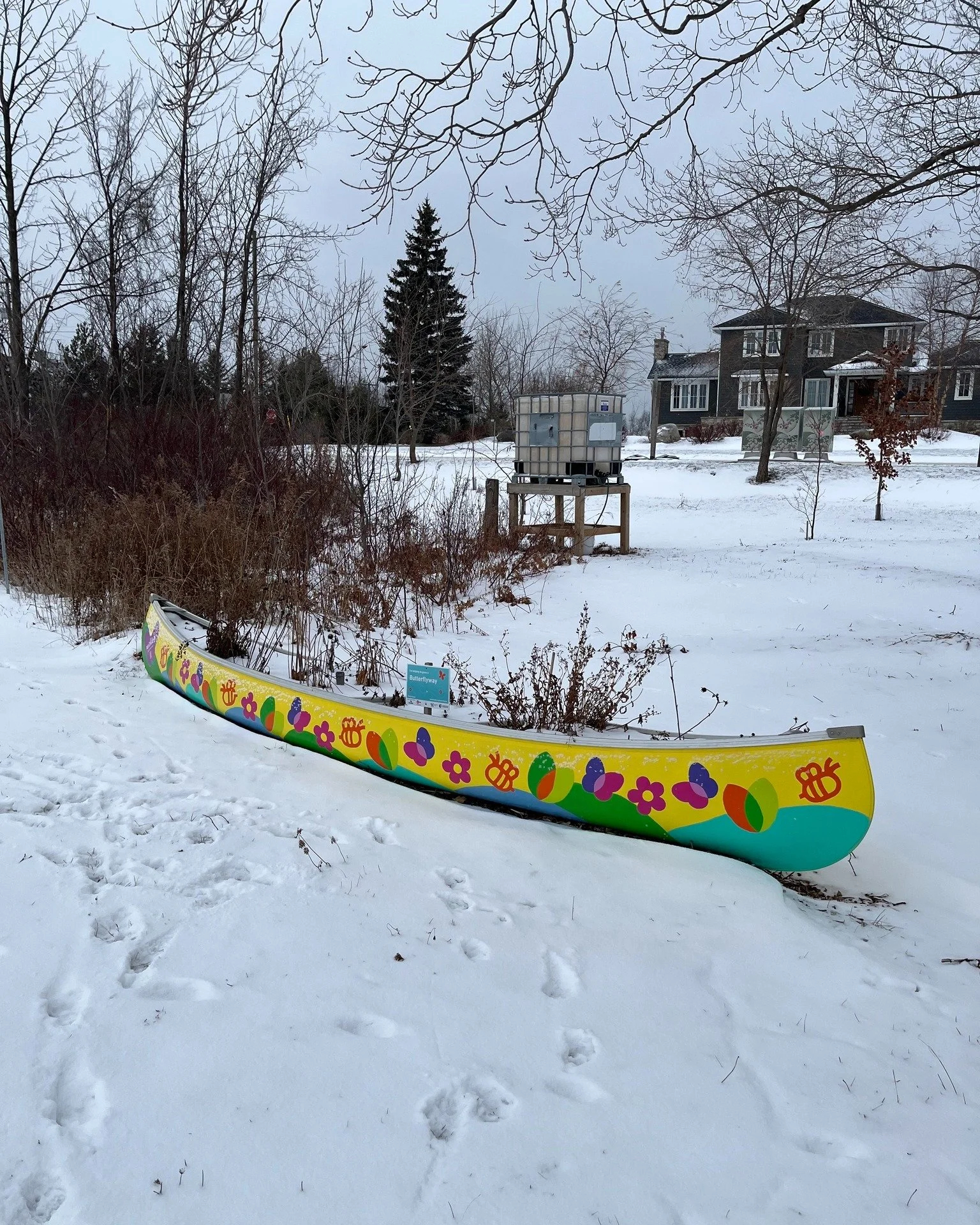 Our native plant canoes stand out bright against the winter snow! 💚🌿🌻 Just a lovely reminder that it will not be cold for long. 

#pollinatorgarden #pollinatetbm #bluemountainsontario